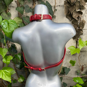VIXON LUXURY LEATHER HARNESS RED & GOLD